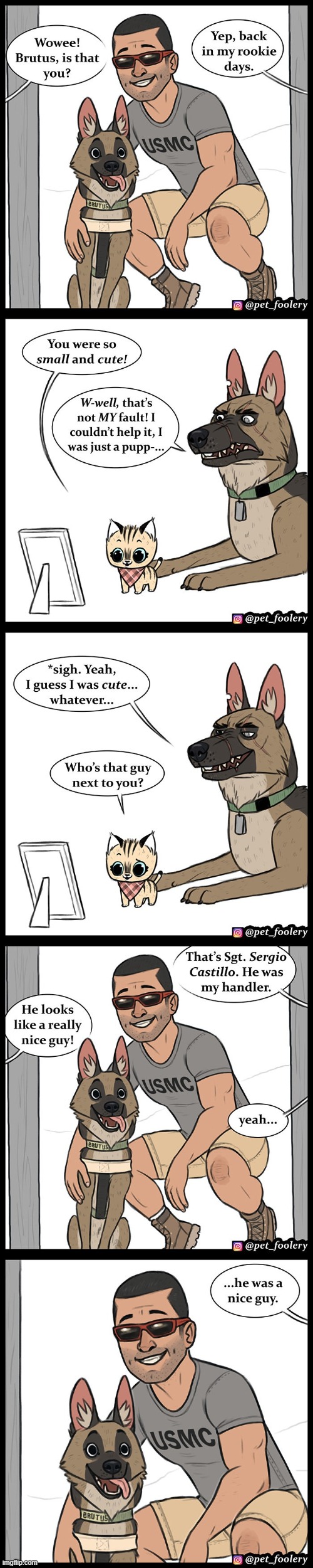 Brutus as a puppy | image tagged in dog,cat,picture,photo,handler,memory | made w/ Imgflip meme maker