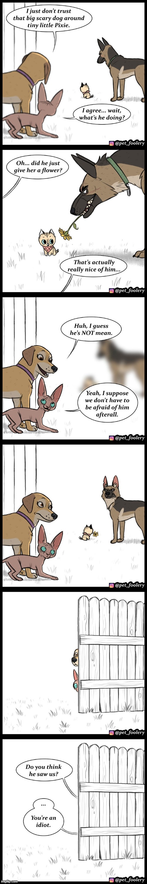 image tagged in dogs,cats,flower,scared,hiding,fence | made w/ Imgflip meme maker