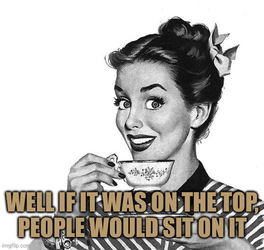 Retro woman teacup | WELL IF IT WAS ON THE TOP,
PEOPLE WOULD SIT ON IT | image tagged in retro woman teacup | made w/ Imgflip meme maker
