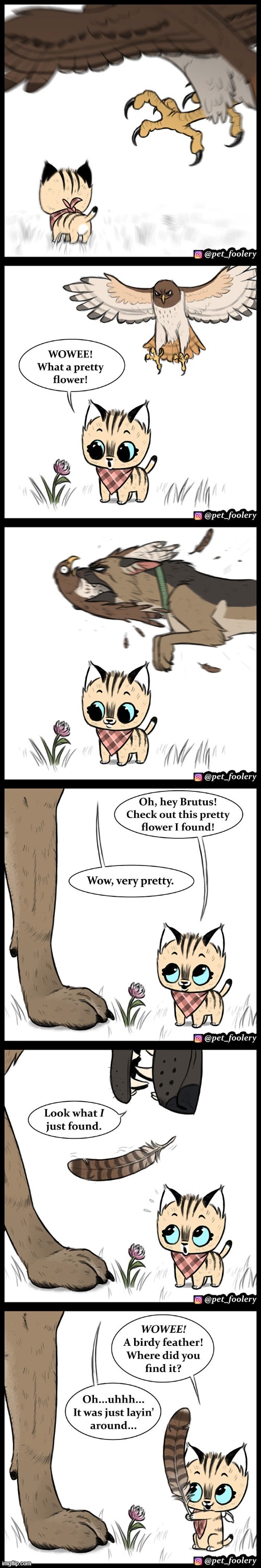 image tagged in cat,flower,eagle,dog,rescue,feather | made w/ Imgflip meme maker