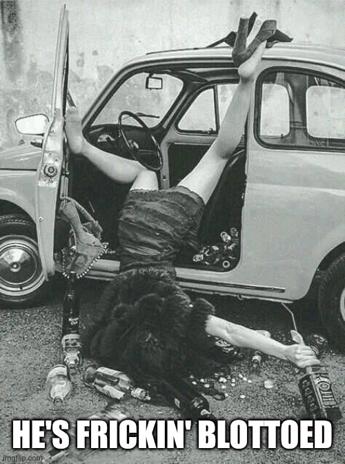 Drunk Girl  | HE'S FRICKIN' BLOTTOED | image tagged in drunk girl | made w/ Imgflip meme maker