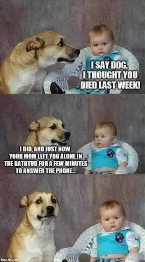 image tagged in dead baby | made w/ Imgflip meme maker