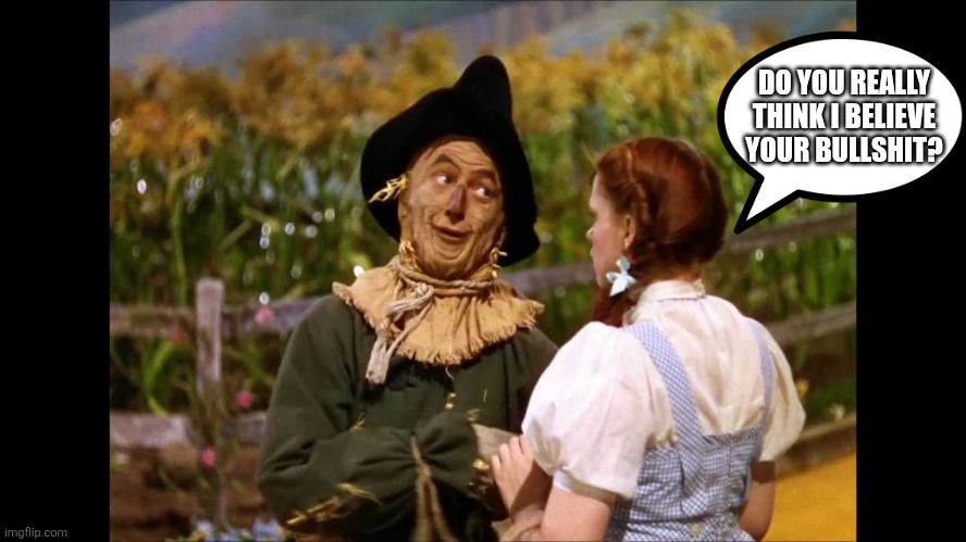 Strawman | DO YOU REALLY THINK I BELIEVE YOUR BULLSHIT? | image tagged in strawman | made w/ Imgflip meme maker