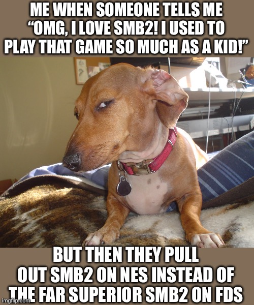 SMB2 JP is fun | ME WHEN SOMEONE TELLS ME “OMG, I LOVE SMB2! I USED TO PLAY THAT GAME SO MUCH AS A KID!”; BUT THEN THEY PULL OUT SMB2 ON NES INSTEAD OF THE FAR SUPERIOR SMB2 ON FDS | image tagged in suspicious dog,smb,smb2,famicom,dog,funny | made w/ Imgflip meme maker
