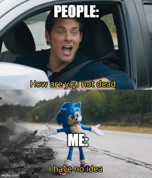 Sonic I have no idea | PEOPLE: ME: | image tagged in sonic i have no idea | made w/ Imgflip meme maker