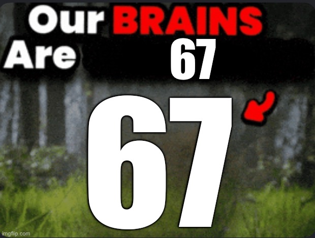 Our brains are GONE | 67 67 | image tagged in our brains are gone | made w/ Imgflip meme maker
