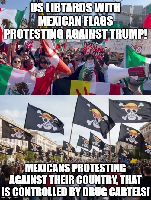 Are you with US Libtards protesting Trump? Or with Mexican Patriots? | US LIBTARDS WITH MEXICAN FLAGS PROTESTING AGAINST TRUMP! MEXICANS PROTESTING AGAINST THEIR COUNTRY, THAT IS CONTROLLED BY DRUG CARTELS! | image tagged in the scroll of truth | made w/ Imgflip meme maker