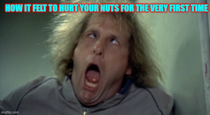 WHAT A PAIN! | HOW IT FELT TO HURT YOUR NUTS FOR THE VERY FIRST TIME | image tagged in memes,scary harry | made w/ Imgflip meme maker