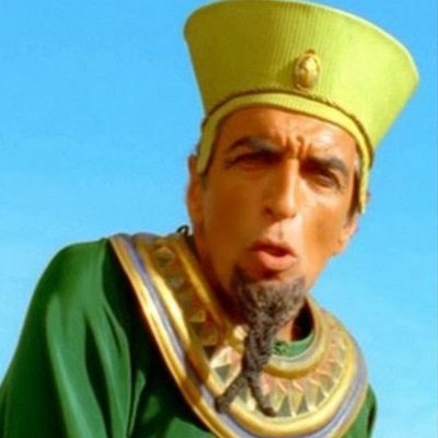 Owszem Blank Meme Template