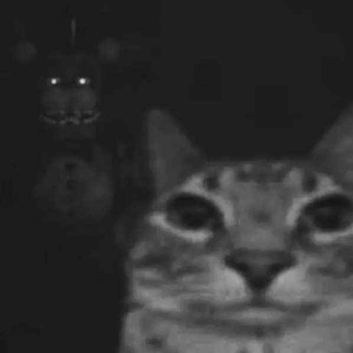 He’s behind me isn’t he Blank Meme Template