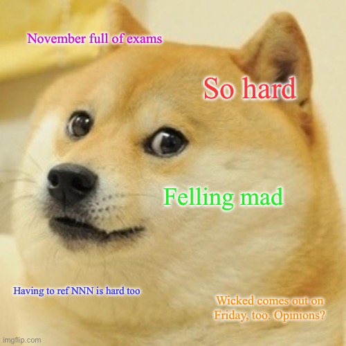Doge Meme | November full of exams; So hard; Felling mad; Having to ref NNN is hard too; Wicked comes out on Friday, too. Opinions? | image tagged in memes,doge | made w/ Imgflip meme maker
