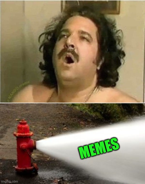 MEMES | image tagged in ron jeremy,fire hydrant explosion | made w/ Imgflip meme maker