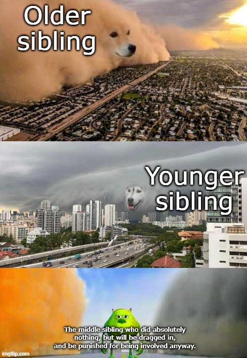 whewh | Older sibling; Younger sibling; The middle sibling who did absolutely nothing, but will be dragged in, and be punished for being involved anyway. | image tagged in dust doge storms and mikey caught in the middle,funny,memes | made w/ Imgflip meme maker