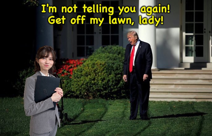 Getting on Donny's nerves | I'm not telling you again!
Get off my lawn, lady! | image tagged in trump,sao | made w/ Imgflip meme maker