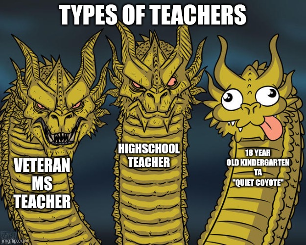 Three-headed Dragon | TYPES OF TEACHERS; HIGHSCHOOL TEACHER; 18 YEAR OLD KINDERGARTEN TA "QUIET COYOTE"; VETERAN MS TEACHER | image tagged in three-headed dragon | made w/ Imgflip meme maker