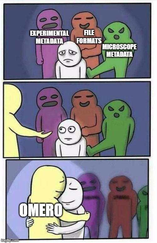 And I'm not (yet) tired of saying it helps | FILE FORMATS; EXPERIMENTAL METADATA; MICROSCOPE METADATA; OMERO | image tagged in problems stress pain blank,omero,data management | made w/ Imgflip meme maker