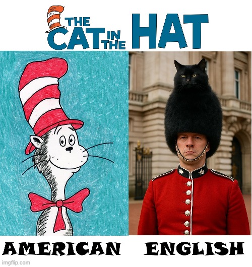Across "The Pond" they take it literally | image tagged in vince vance,cat in the hat,palace guard,dr seuss,american,english | made w/ Imgflip meme maker