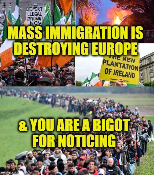 Mass Migrations "is" a problem | MASS IMMIGRATION IS
DESTROYING EUROPE; & YOU ARE A BIGOT 
FOR NOTICING | image tagged in immigration | made w/ Imgflip meme maker