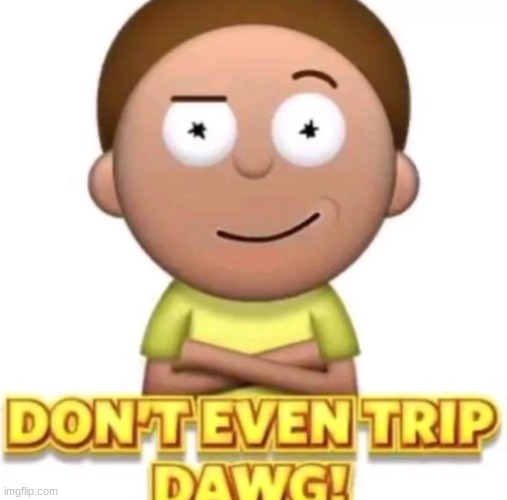 dont even trip dawg! | image tagged in dont even trip dawg | made w/ Imgflip meme maker