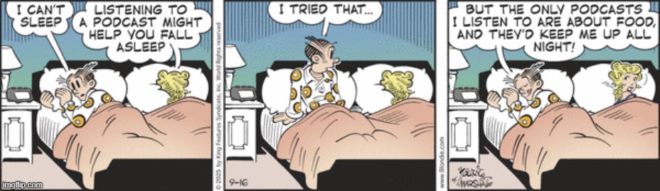 Blondie | image tagged in comics | made w/ Imgflip meme maker