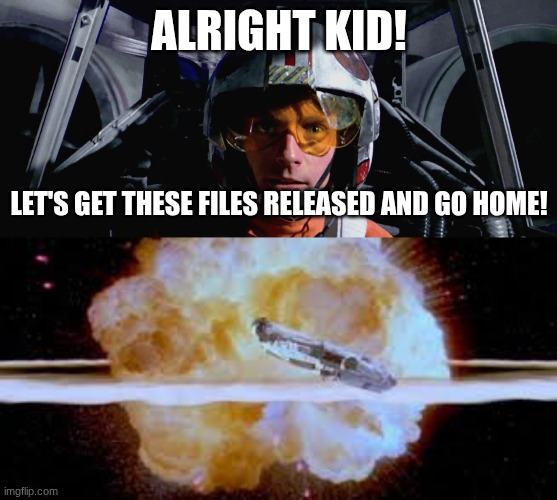 ALRIGHT KID! LET'S GET THESE FILES RELEASED AND GO HOME! | image tagged in luke skywalker blowing up the death star,death star blow up | made w/ Imgflip meme maker