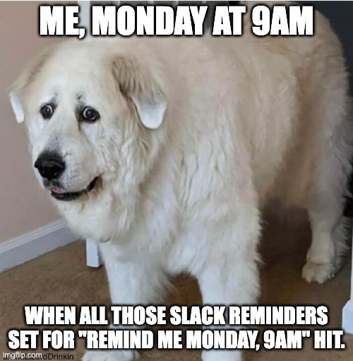 scared dog | ME, MONDAY AT 9AM; WHEN ALL THOSE SLACK REMINDERS SET FOR "REMIND ME MONDAY, 9AM" HIT. | image tagged in scared dog | made w/ Imgflip meme maker