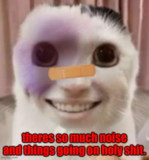 class feels like hell like always. | theres so much noise and things going on holy shit. | image tagged in trauma cat | made w/ Imgflip meme maker