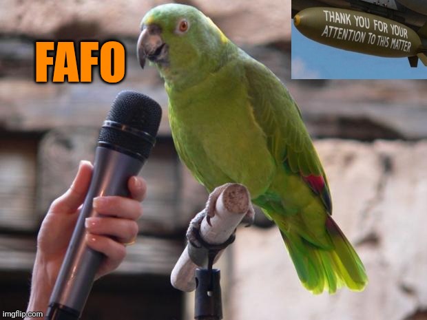 FAFO:  thanks for your attention to this matter | FAFO | image tagged in parrot,fafo,trump | made w/ Imgflip meme maker