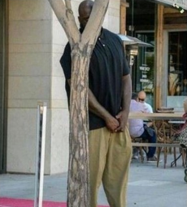 smooth subtle hiding Blank Meme Template