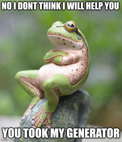 nah frog | NO I DONT THINK I WILL HELP YOU; YOU TOOK MY GENERATOR | image tagged in nah frog | made w/ Imgflip meme maker