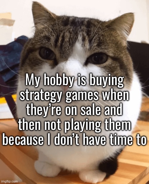 Shout out to Age of Wonders 4 for being playable for free this weekend, was really fun | My hobby is buying strategy games when they’re on sale and then not playing them because I don’t have time to | image tagged in oh the misery original | made w/ Imgflip meme maker