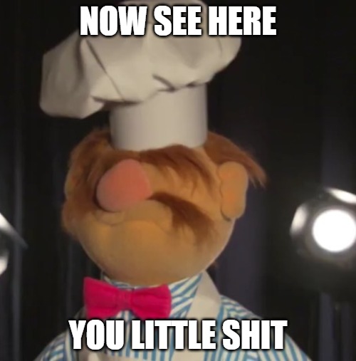 You f'n muppet | NOW SEE HERE; YOU LITTLE SHIT | image tagged in muppets | made w/ Imgflip meme maker