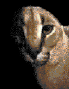 Floppa Blank Meme Template