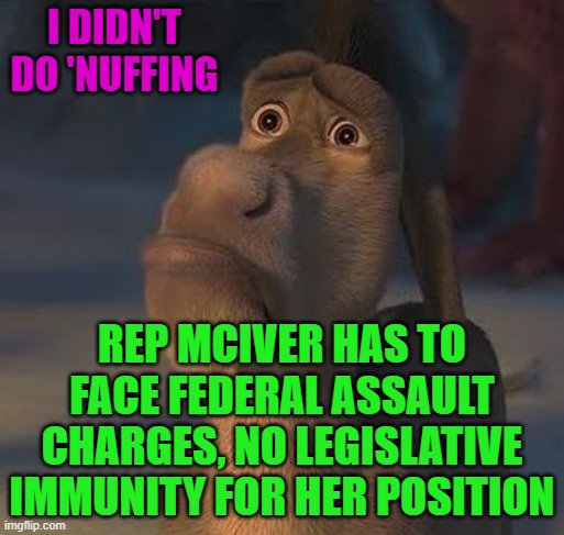 Shrek Donkey Cut Me Deep | I DIDN'T DO 'NUFFING; REP MCIVER HAS TO FACE FEDERAL ASSAULT CHARGES, NO LEGISLATIVE IMMUNITY FOR HER POSITION | image tagged in shrek donkey cut me deep | made w/ Imgflip meme maker