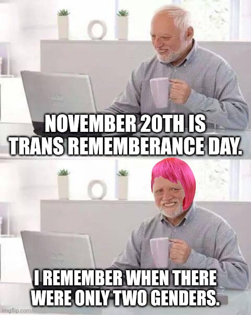 Happy Bullcrap Liberal Virtue Signaling Day | NOVEMBER 20TH IS TRANS REMEMBERANCE DAY. I REMEMBER WHEN THERE WERE ONLY TWO GENDERS. | image tagged in memes,hide the pain harold | made w/ Imgflip meme maker