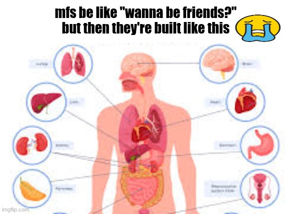 mfs be like "wanna be friends?"

but then they're built like this | made w/ Imgflip meme maker