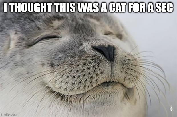 I swear I did | I THOUGHT THIS WAS A CAT FOR A SEC; ITS ME! KAGE! THEONEANDONLY...KAGE!!! YAHAHA | image tagged in memes,satisfied seal | made w/ Imgflip meme maker