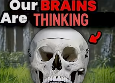 Our brains are thinking Blank Meme Template