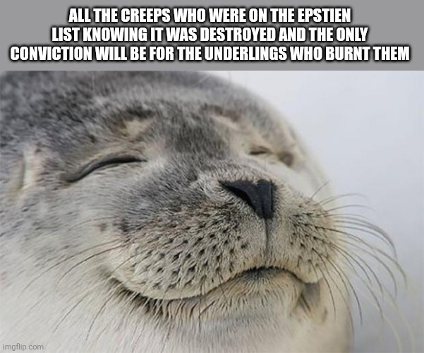 Satisfied Seal | ALL THE CREEPS WHO WERE ON THE EPSTIEN LIST KNOWING IT WAS DESTROYED AND THE ONLY CONVICTION WILL BE FOR THE UNDERLINGS WHO BURNT THEM | image tagged in memes,satisfied seal,funny memes | made w/ Imgflip meme maker