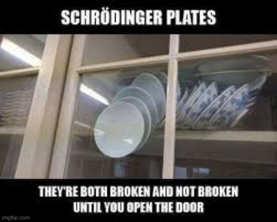 Schrodinger's Plates | image tagged in science,schrodinger,plates,china | made w/ Imgflip meme maker