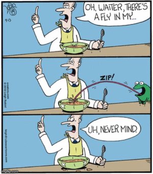 Rubes | image tagged in comics,rubes,restaurant,soup,fly,frog | made w/ Imgflip meme maker