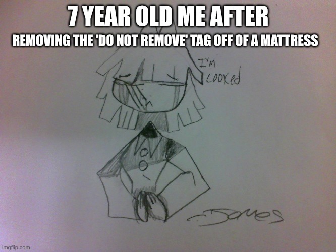 I really thought I was gonna go to jail | 7 YEAR OLD ME AFTER; REMOVING THE 'DO NOT REMOVE' TAG OFF OF A MATTRESS | image tagged in memes,fpe,mamma mia,lol so funny,why are you reading the tags,sanic | made w/ Imgflip meme maker
