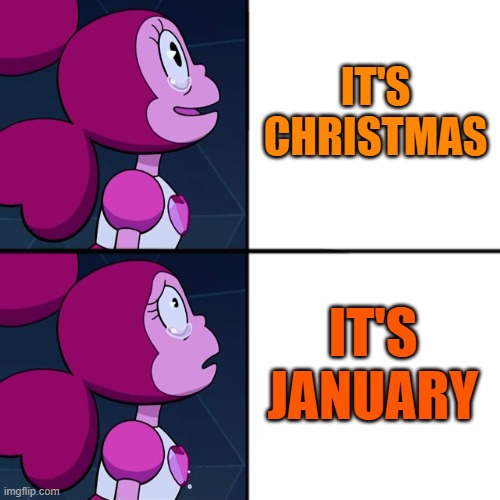 Spinel | IT'S CHRISTMAS; IT'S JANUARY | image tagged in spinel | made w/ Imgflip meme maker