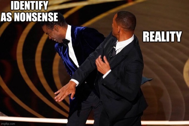 Will Smith Slap | IDENTIFY AS NONSENSE REALITY | image tagged in will smith slap | made w/ Imgflip meme maker