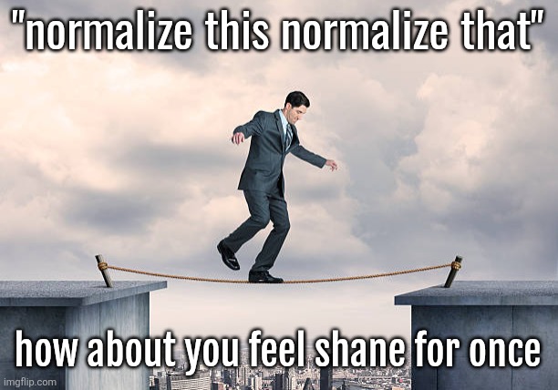 man walking on rope | "normalize this normalize that"; how about you feel shane for once | image tagged in man walking on rope | made w/ Imgflip meme maker