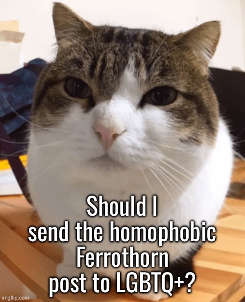 You could also suggest other streams while you’re at it (Politics may count it as a repost and may not approve it) | Should I send the homophobic Ferrothorn post to LGBTQ+? | image tagged in oh the misery original | made w/ Imgflip meme maker