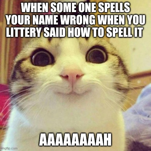 Smiling Cat | WHEN SOME ONE SPELLS YOUR NAME WRONG WHEN YOU LITTERY SAID HOW TO SPELL IT; AAAAAAAAH | image tagged in memes,smiling cat | made w/ Imgflip meme maker