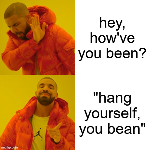 Drake Hotline Bling Meme | hey, how've you been? "hang yourself, you bean" | image tagged in memes,drake hotline bling | made w/ Imgflip meme maker