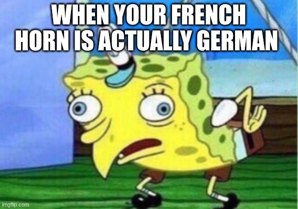 WHHAAAAT | WHEN YOUR FRENCH HORN IS ACTUALLY GERMAN | image tagged in memes,mocking spongebob | made w/ Imgflip meme maker