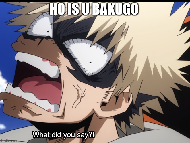 Bakugo's What did you say?! | HO IS U BAKUGO | image tagged in bakugo's what did you say | made w/ Imgflip meme maker